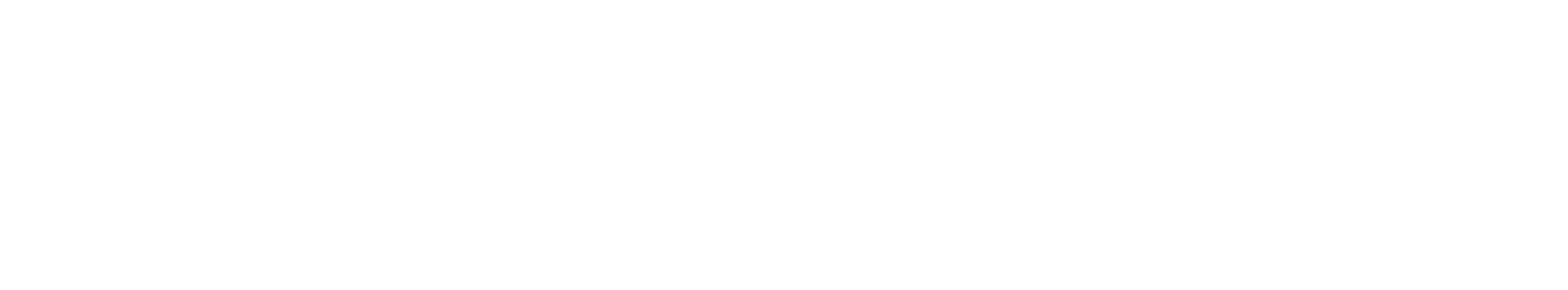 Flyosys